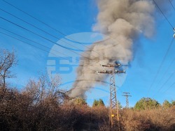 Перник - местност Войниковец - пожар