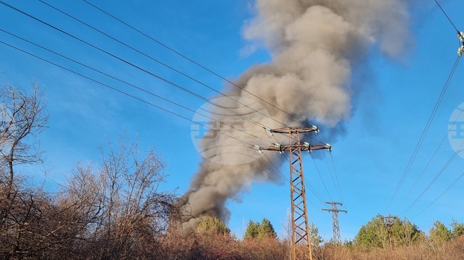 Общо 95 пожара са потушени в страната в последното денонощие 