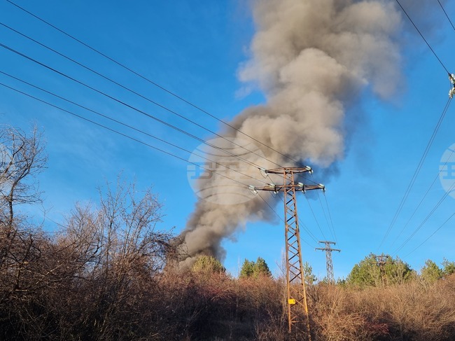 Общо 95 пожара са потушени в страната през последното денонощие 