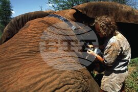 Kenya Iain Douglas Hamilton Obit