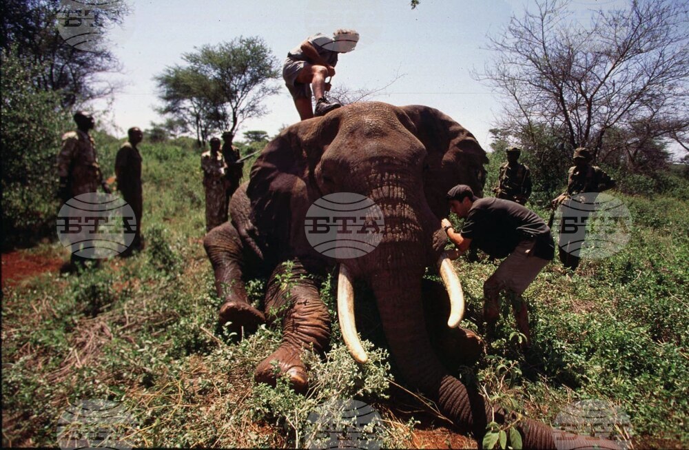 Kenya Iain Douglas Hamilton Obit