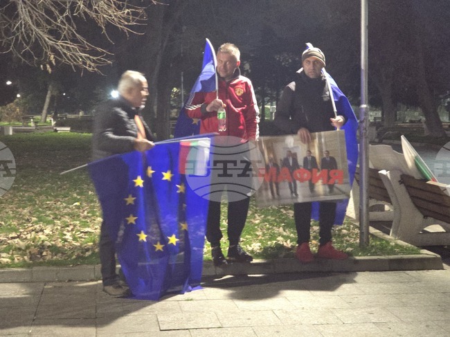 Луковит - протест