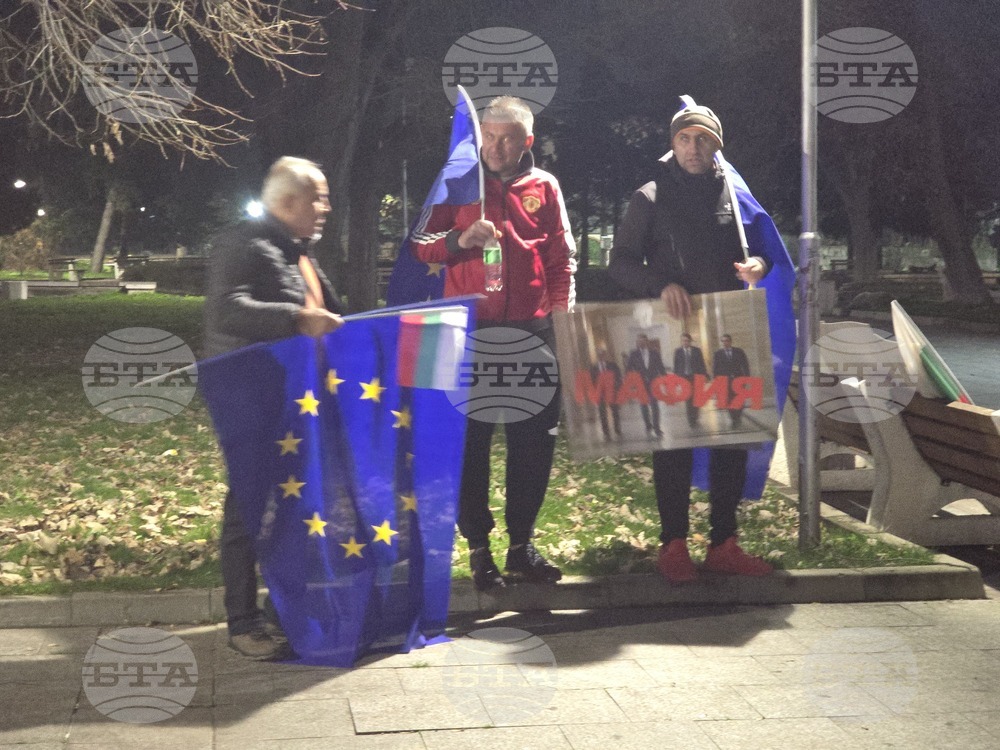 Луковит - протест