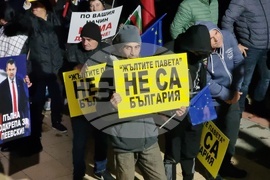 Село Крушари - митинг - „ДПС - Ново начало“