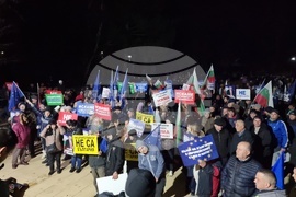 Село Крушари - митинг - „ДПС - Ново начало“