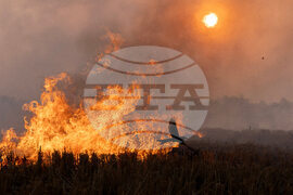 APTOPIX India Burning Trash