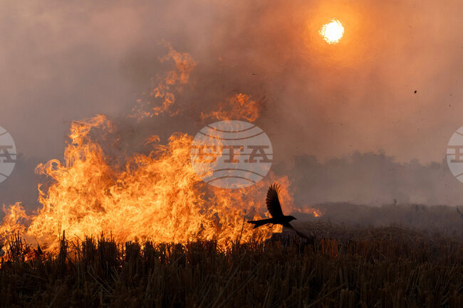 APTOPIX India Burning Trash