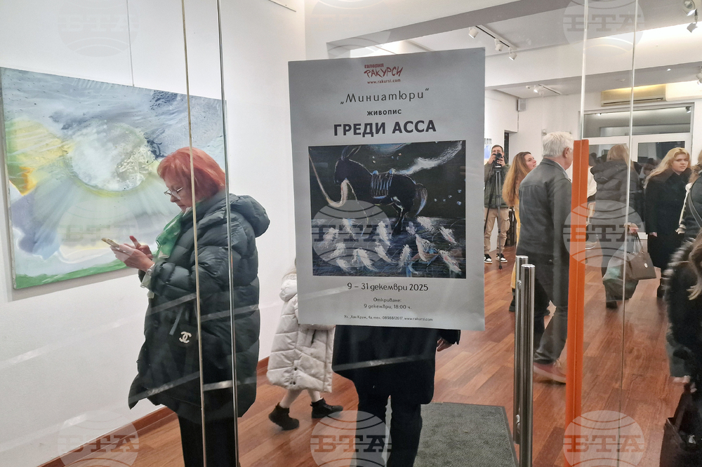 Греди Асса - изложба