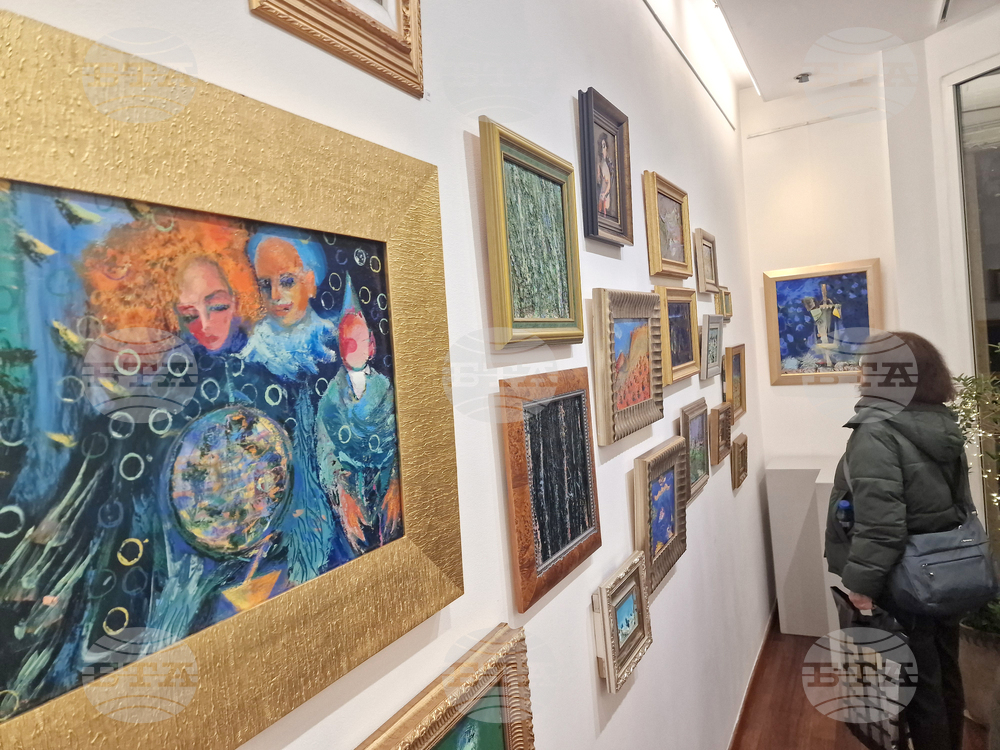 Греди Асса - изложба