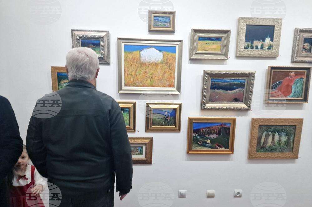 Греди Асса - изложба