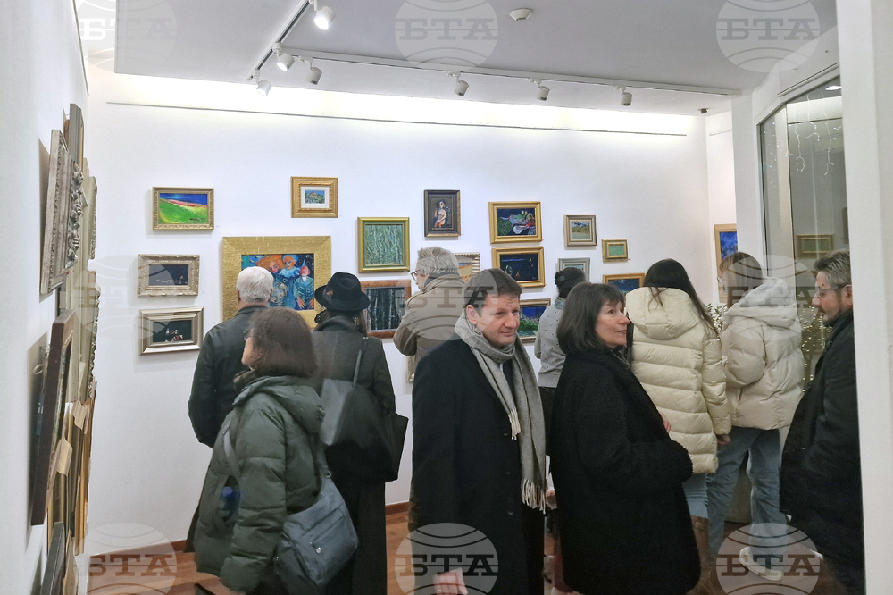 Греди Асса - изложба