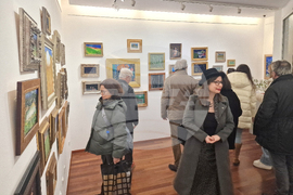 Греди Асса - изложба