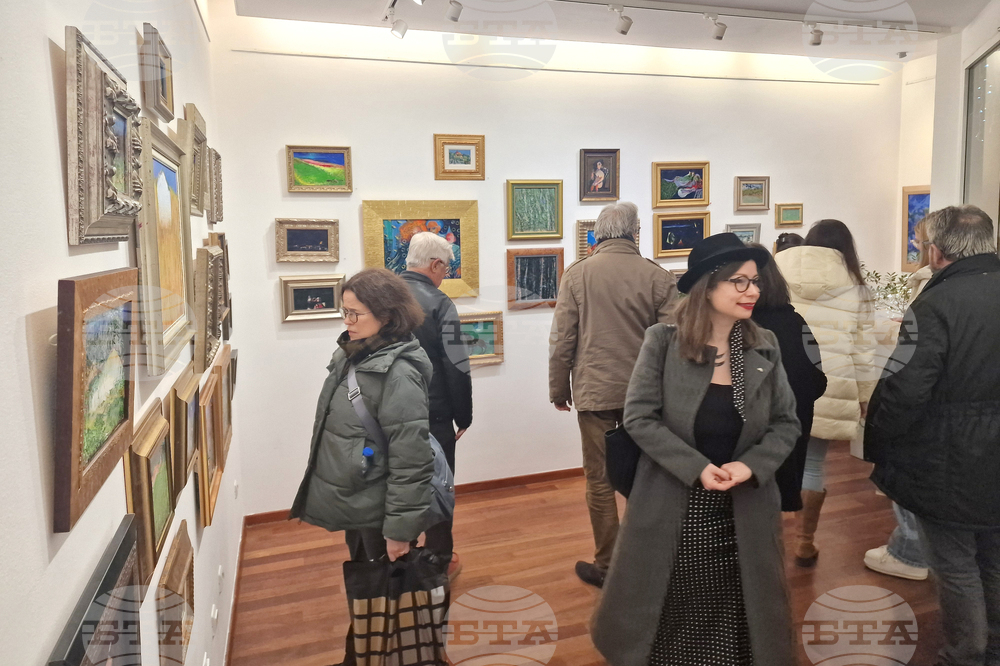 Греди Асса - изложба