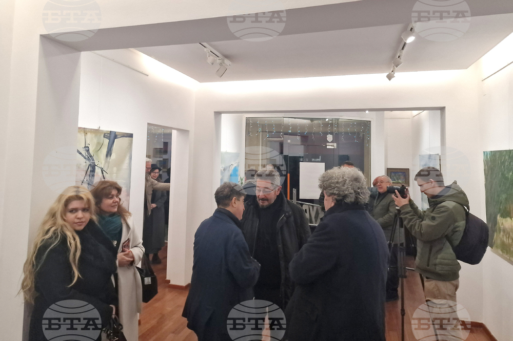 Греди Асса - изложба