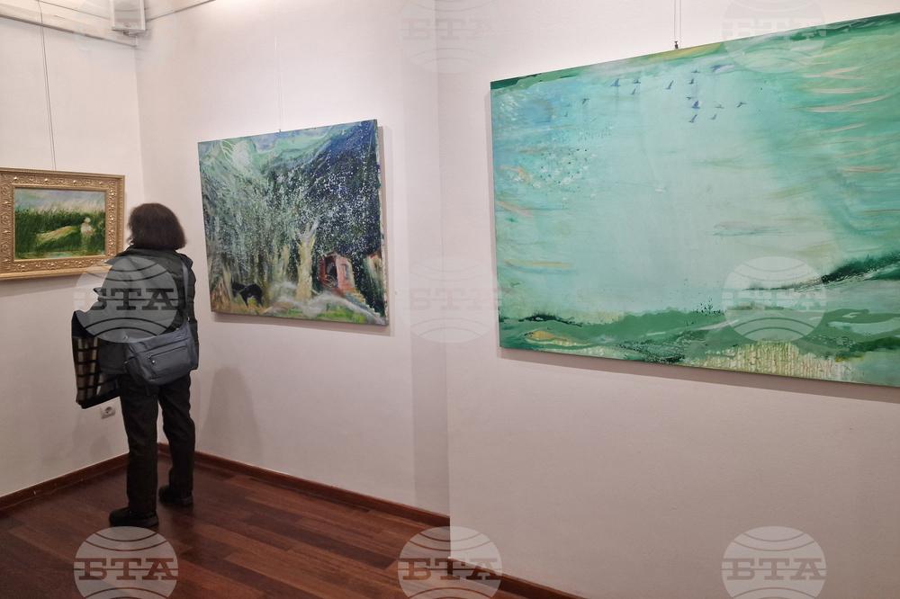 Греди Асса - изложба