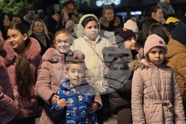 Свищов - елха - коледни светлини