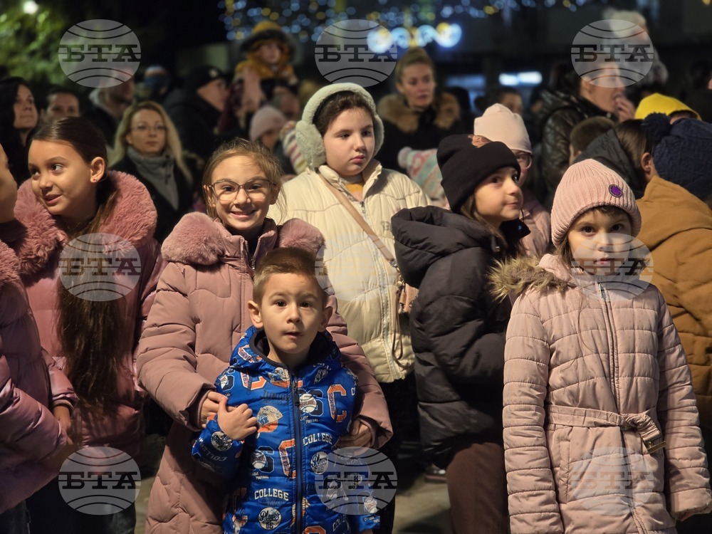Свищов - елха - коледни светлини