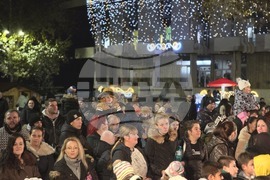 Свищов - елха - коледни светлини