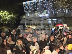 Свищов - елха - коледни светлини