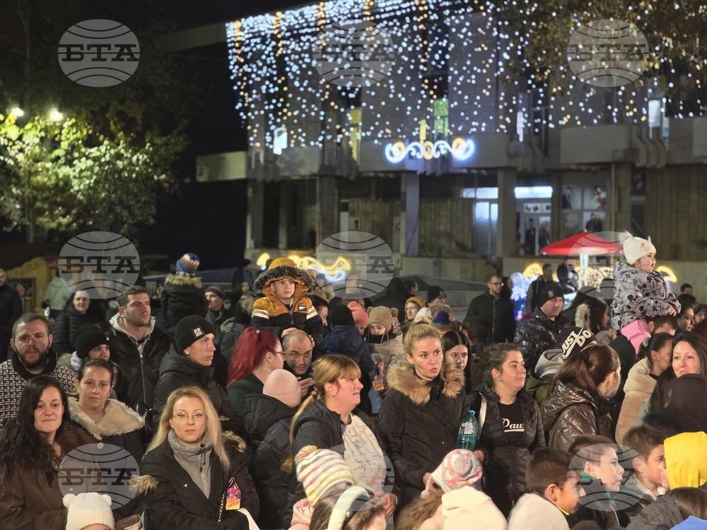 Свищов - елха - коледни светлини