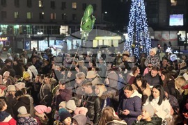 Свищов - елха - коледни светлини