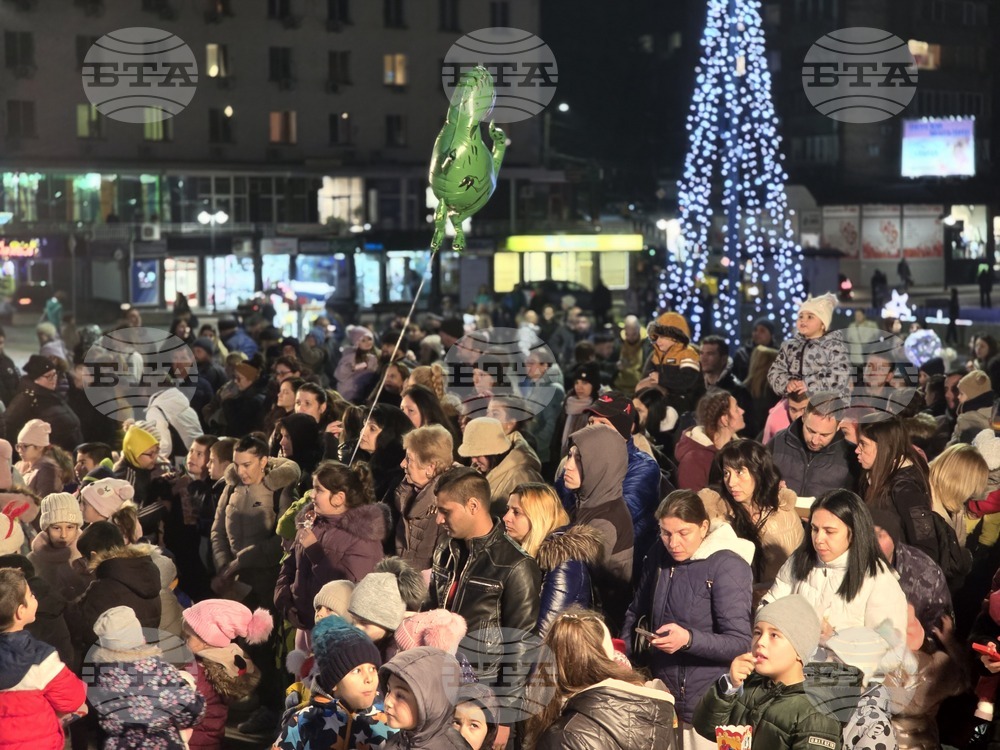 Свищов - елха - коледни светлини