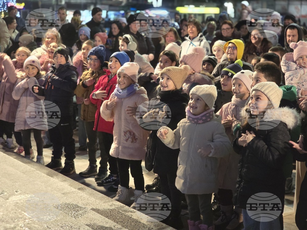 Свищов - елха - коледни светлини
