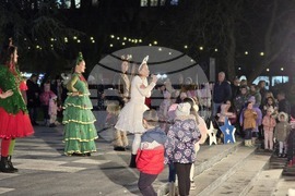 Свищов - елха - коледни светлини