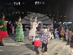 Свищов - елха - коледни светлини