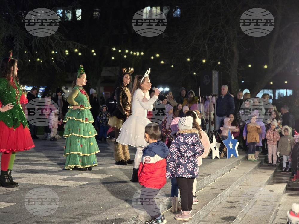 Свищов - елха - коледни светлини