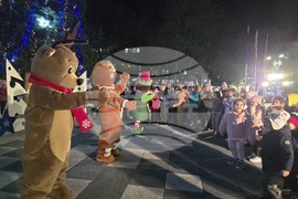 Свищов - елха - коледни светлини