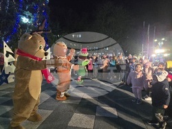 Свищов - елха - коледни светлини