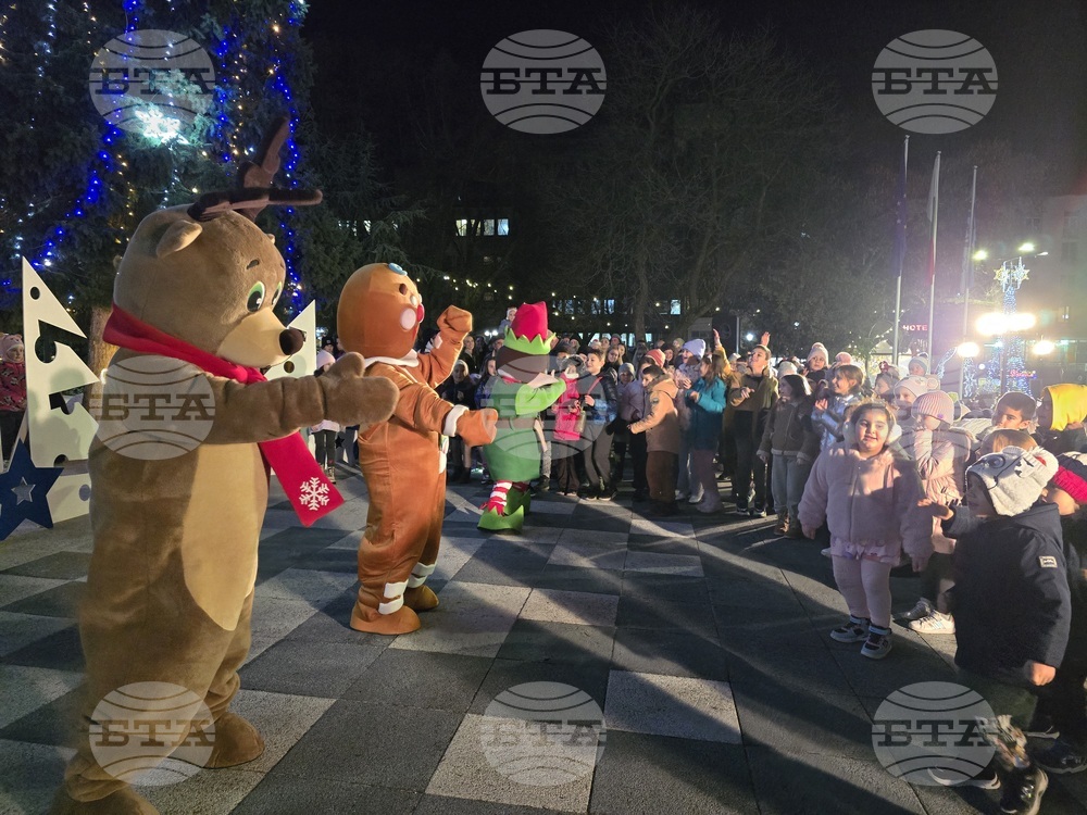 Свищов - елха - коледни светлини