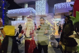 Свищов - елха - коледни светлини