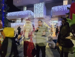 Свищов - елха - коледни светлини