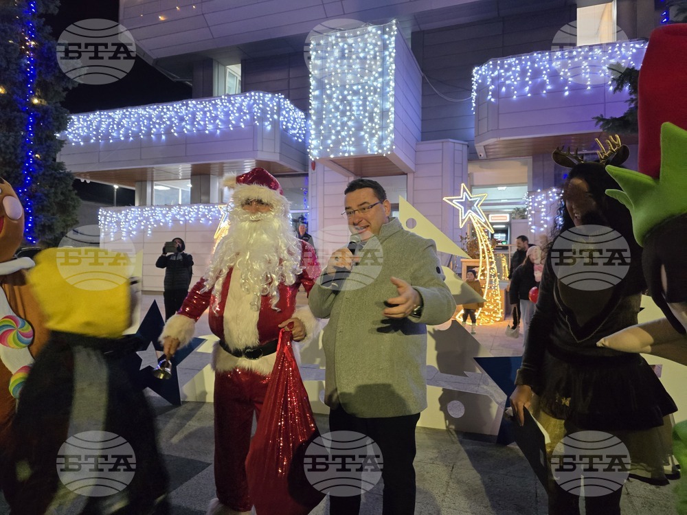 Свищов - елха - коледни светлини