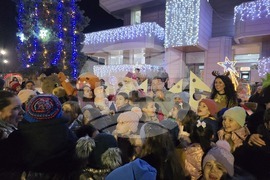 Свищов - елха - коледни светлини