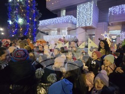 Свищов - елха - коледни светлини