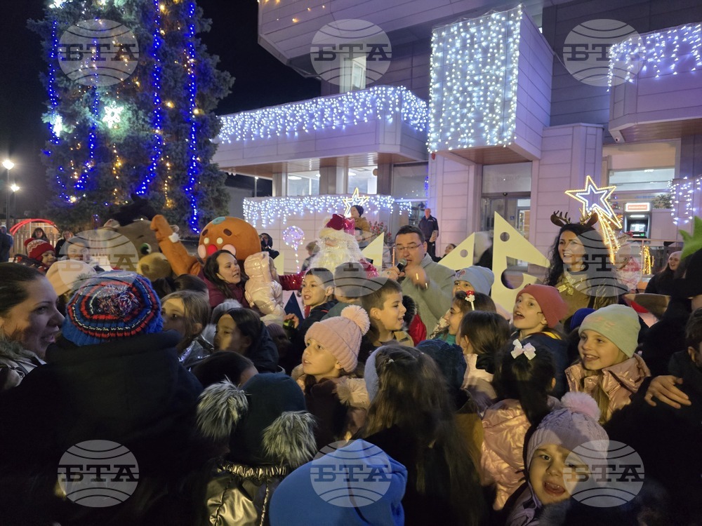 Свищов - елха - коледни светлини