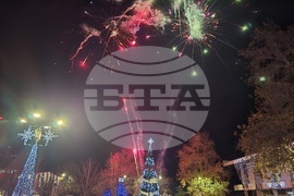 Свищов - елха - коледни светлини