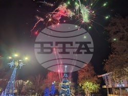 Свищов - елха - коледни светлини