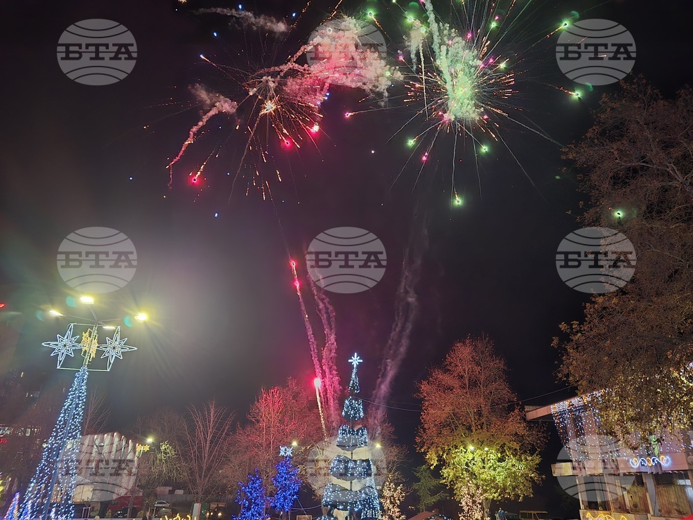 Свищов - елха - коледни светлини