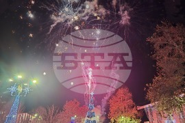 Свищов - елха - коледни светлини