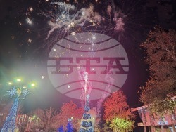 Свищов - елха - коледни светлини