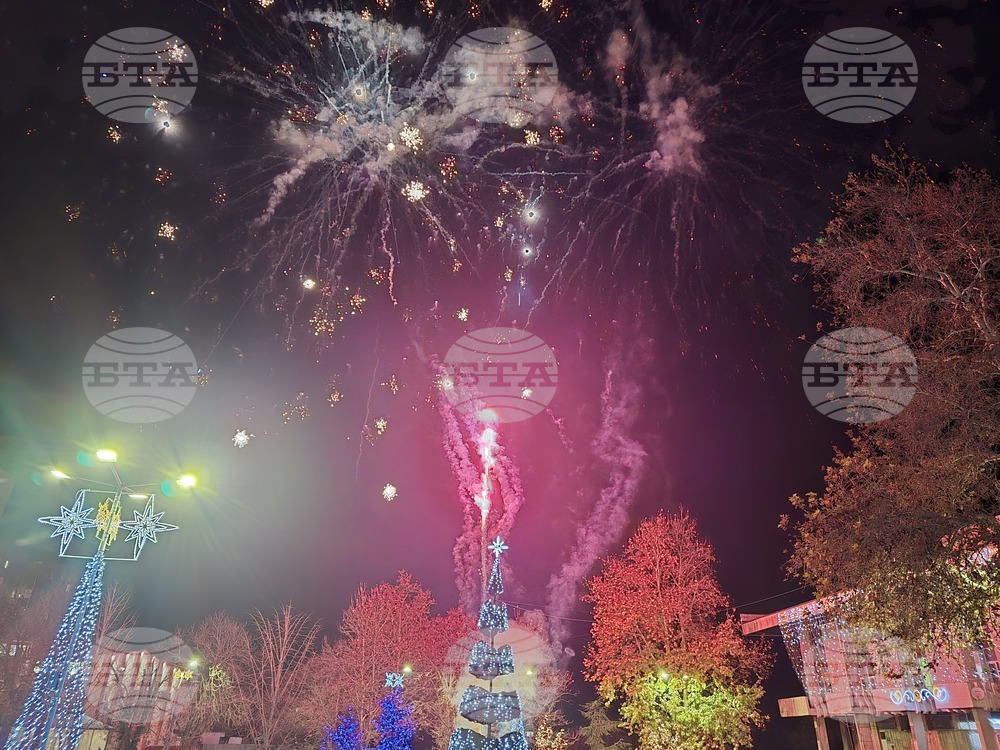 Свищов - елха - коледни светлини