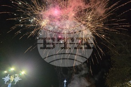 Свищов - елха - коледни светлини