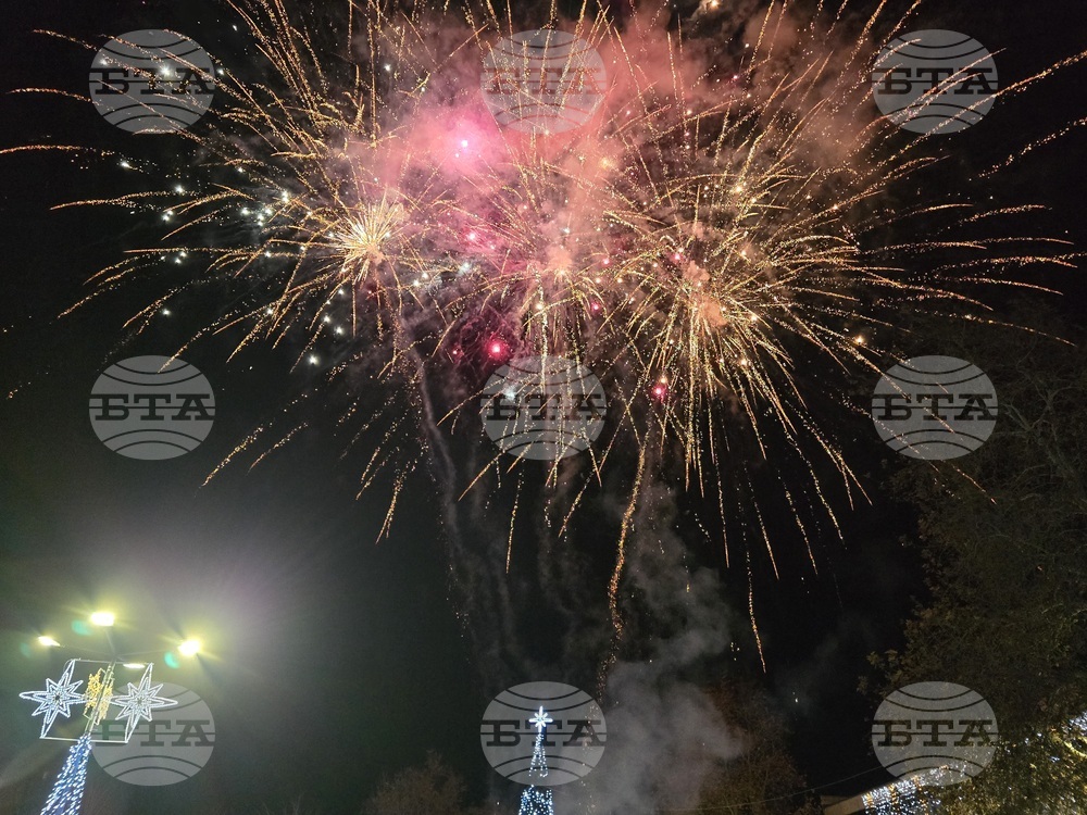 Свищов - елха - коледни светлини