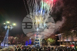 Свищов - елха - коледни светлини