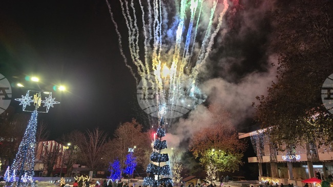 В присъствието на Дядо Коледа и неговите помощници грейнаха светлините на коледната елха в Свищов