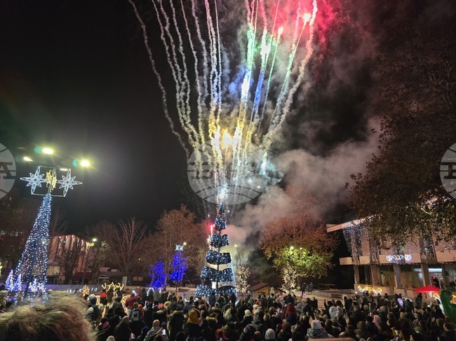 Свищов - елха - коледни светлини